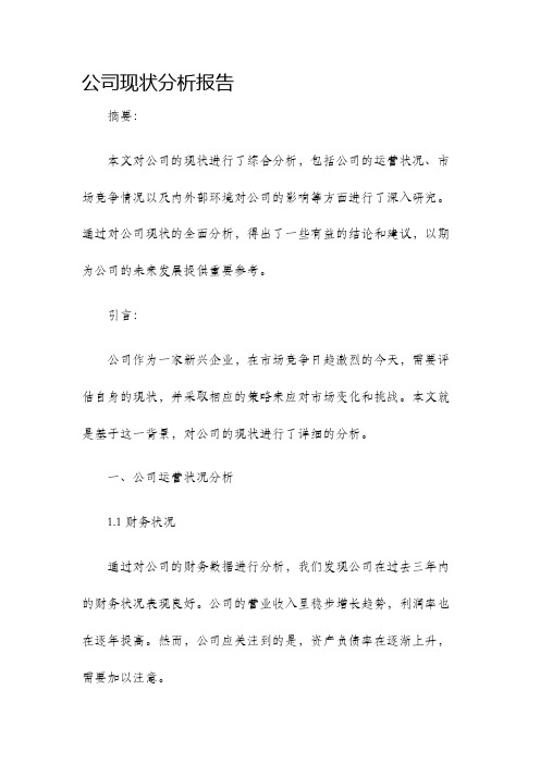 公司现状分析报告