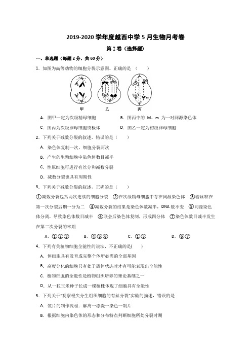 四川越西中学高一5月月考生物试题 含答案