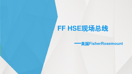FF总线结构