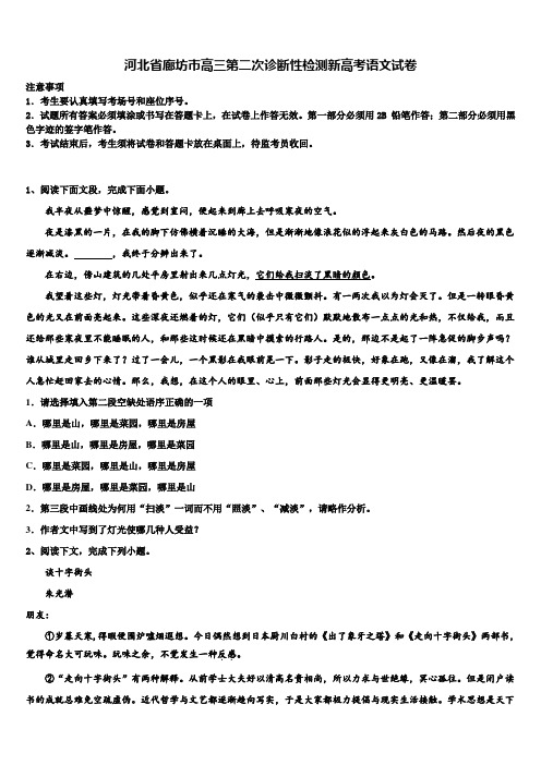 河北省廊坊市高三第二次诊断性检测新高考语文试卷及答案解析