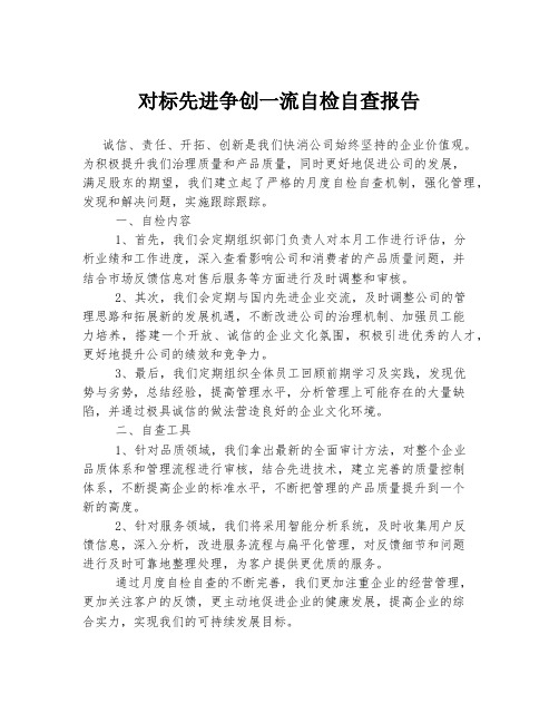 对标先进争创一流自检自查报告