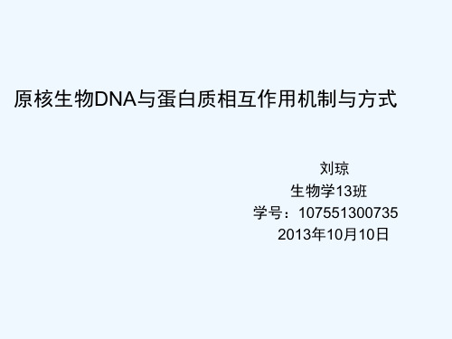 原核生物DNA与蛋白质相互作用机制