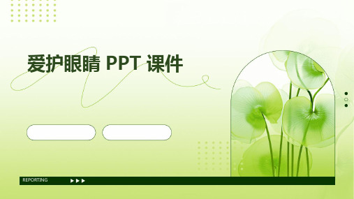 爱护 眼睛 ppt课件