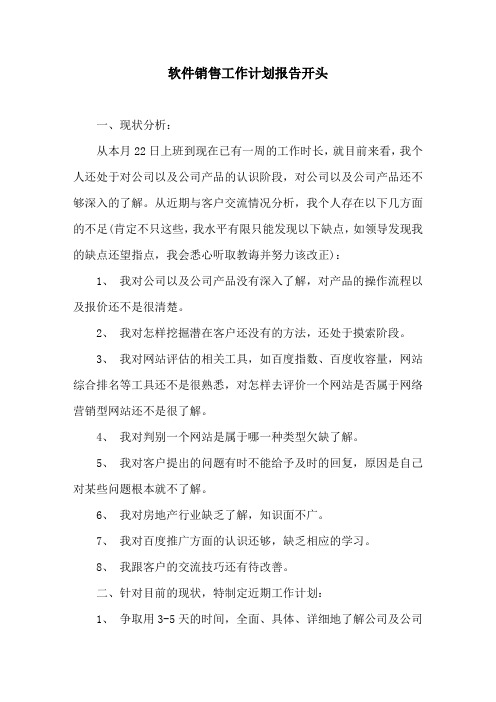 软件销售工作计划报告开头