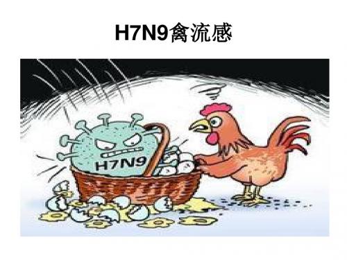 H7N9禽流感