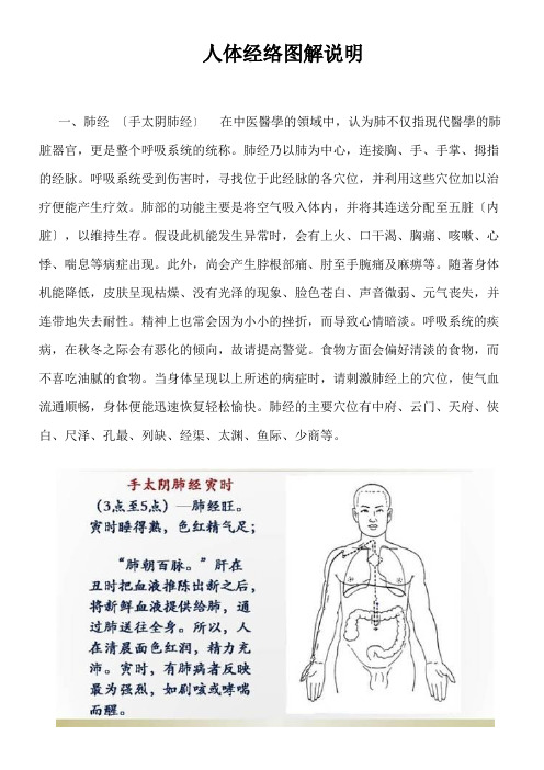 人体经络图解说明