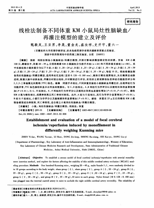 线栓法制备不同体重KM小鼠局灶性脑缺血／再灌注模型的建立及评价