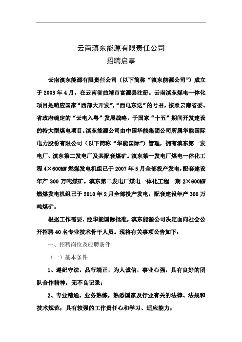 云南滇东能源有限责任公司