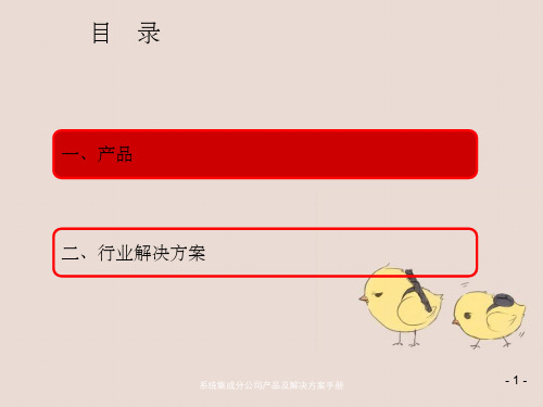 系统集成分公司产品及解决方案手册