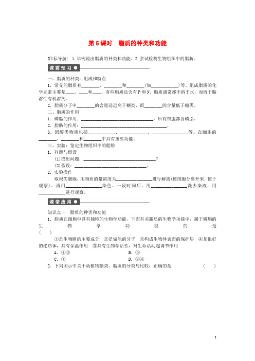 高中生物 第二章 第5课时 脂质的种类和功能课时作业(含解析)苏教版必修1