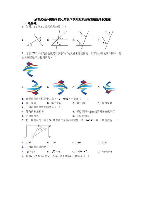 成都武侯外国语学校七年级下学期期末压轴难题数学试题题