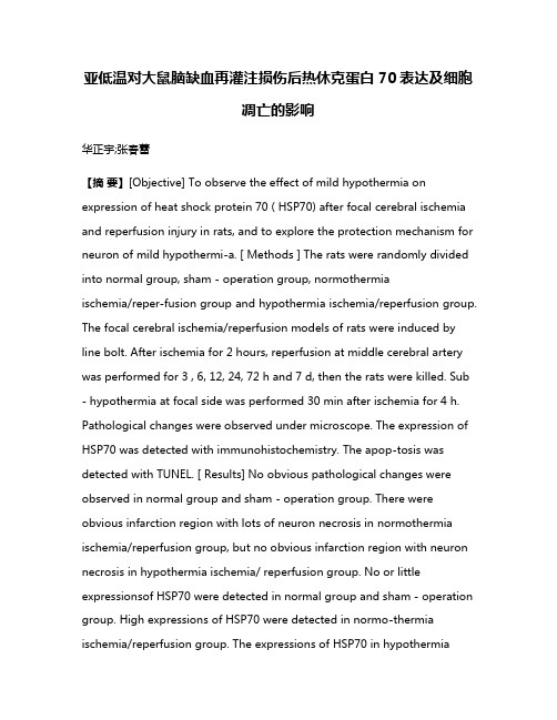 亚低温对大鼠脑缺血再灌注损伤后热休克蛋白70表达及细胞凋亡的影响