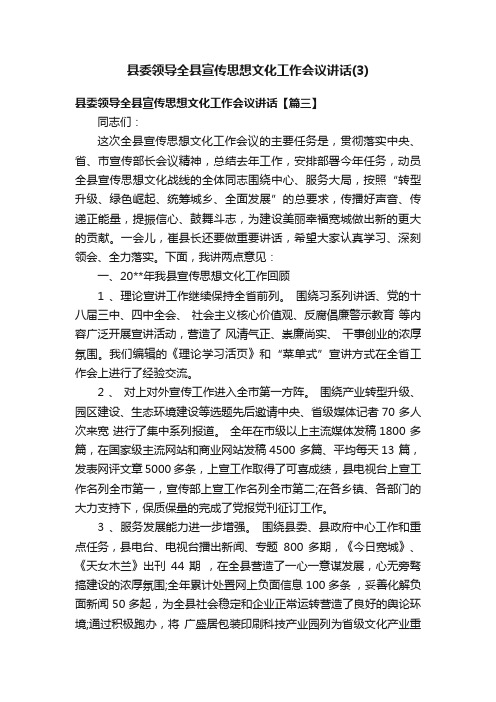 县委领导全县宣传思想文化工作会议讲话（3）