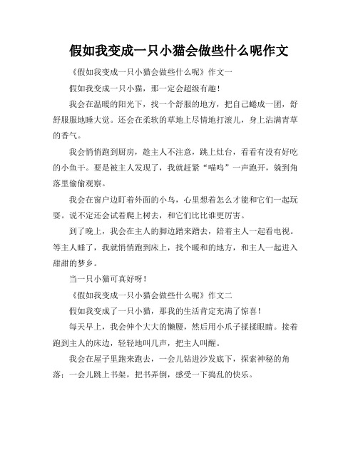 假如我变成一只小猫会做些什么呢作文