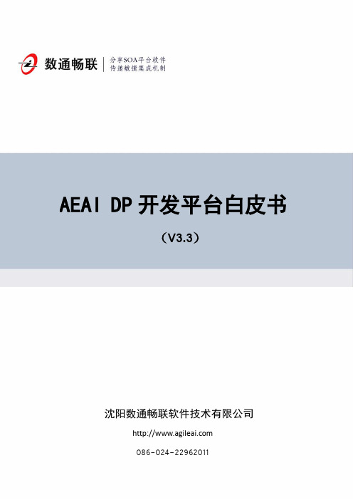 AEAI DP开发平台白皮书