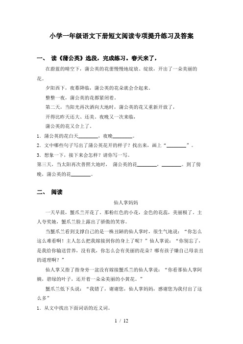 小学一年级语文下册短文阅读专项提升练习及答案