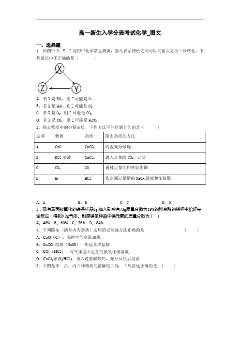 高一新生入学分班考试化学_图文