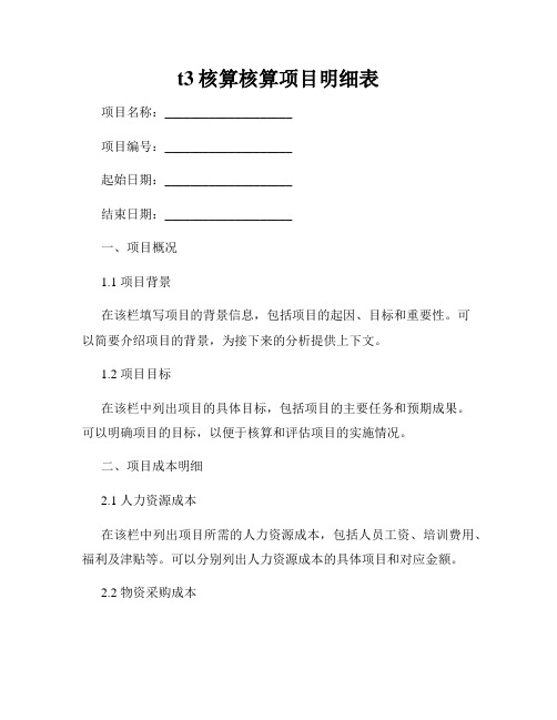 t3核算核算项目明细表