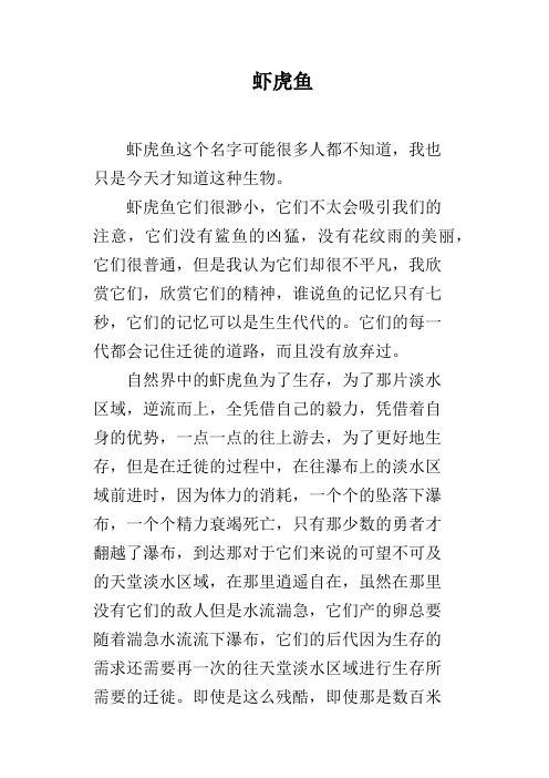 虾虎鱼