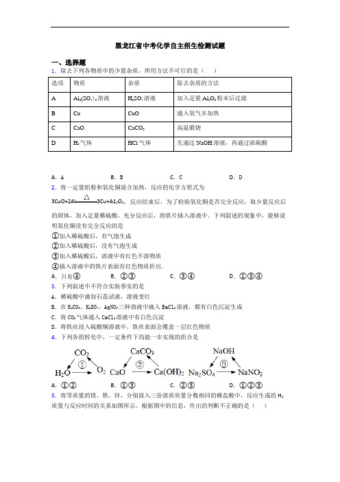 黑龙江省中考化学自主招生检测试题