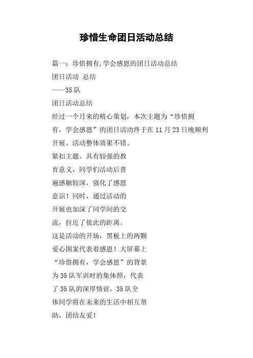 珍惜生命团日活动总结