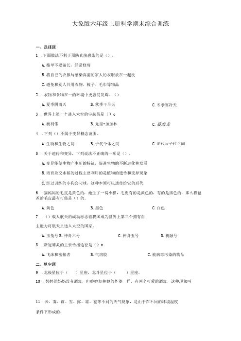 大象版六年级上册科学期末综合训练(含答案)