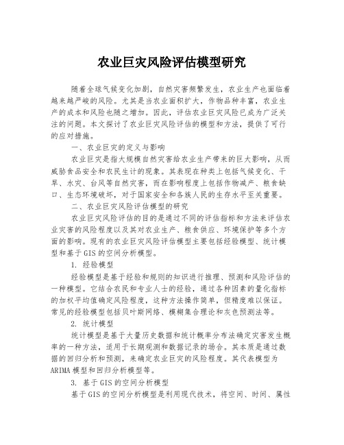 农业巨灾风险评估模型研究