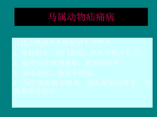 马属动物疝痛病