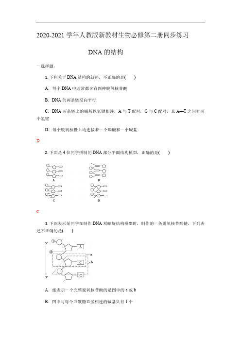 2020-2021学年人教版新教材生物必修第二册同步练习3.2DNA的结构(含答案)