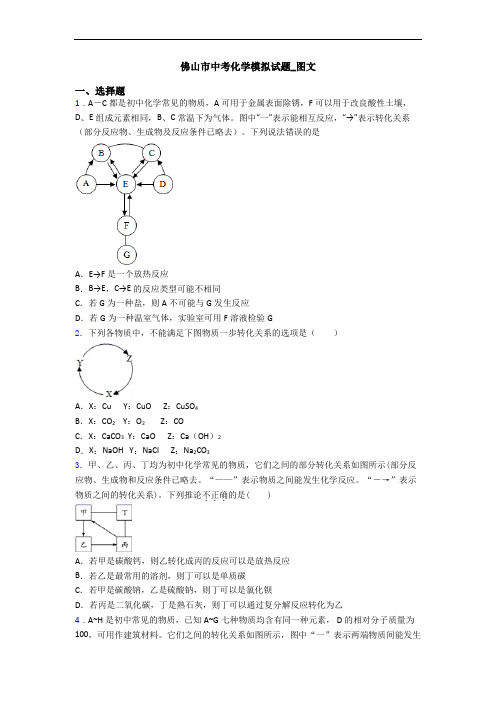 佛山市中考化学模拟试题_图文