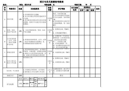 项目申报专员绩效考核表