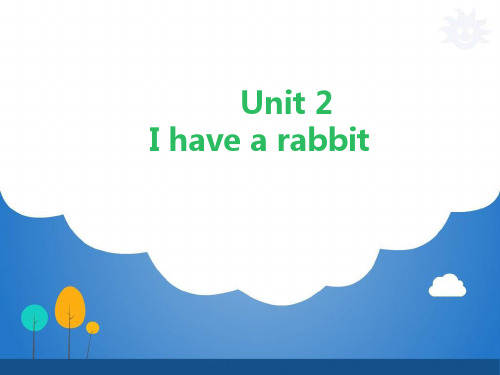 译林版小学英语二年级上册课件：Unit 2 I have a rabbit