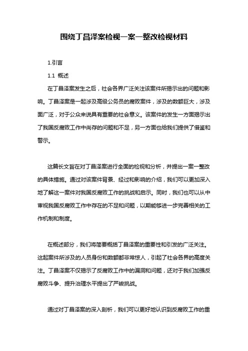 围绕丁昌泽案检视一案一整改检视材料