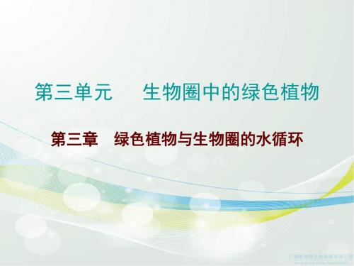 2017广东中考总复习生物第三单元生物圈中的绿色植物第三章 绿色植物与生物圈的水循环