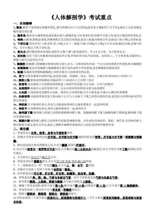 人体解剖学复习重点