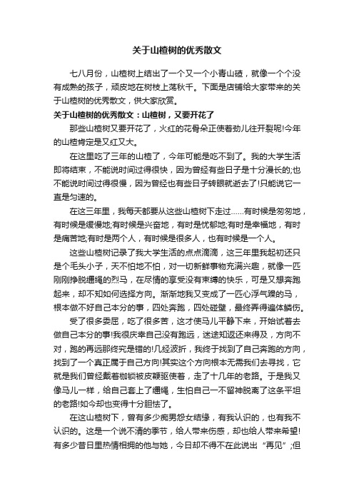 关于山楂树的优秀散文