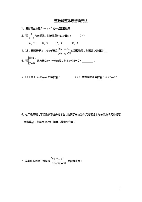 人教版七年级数学下册  第八章二元一次方程组复习  专题2：整体思想换元法整数解