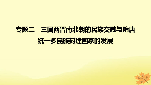 2023版高考历史一轮复习真题精练专题2三国两晋南北朝的民族交融与隋唐课件