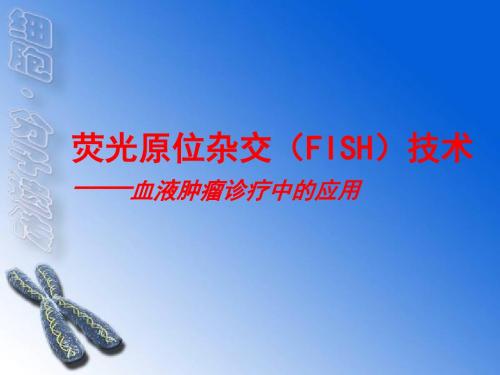 FISH技术在血液疾病诊断中的应用ppt课件