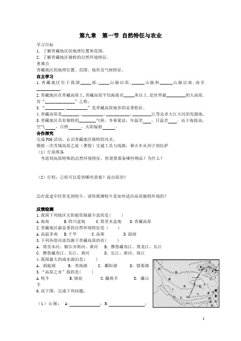 人教版八年级地理下册 第九章第一节自然特征与农业导学案