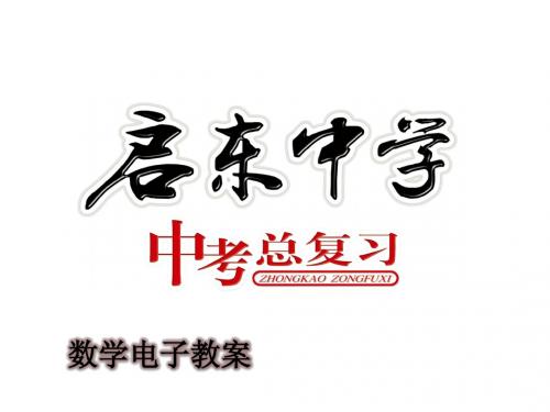 启东中学2014届中考总复习电子教案 专题28：小题不能大做--选择题解题策略