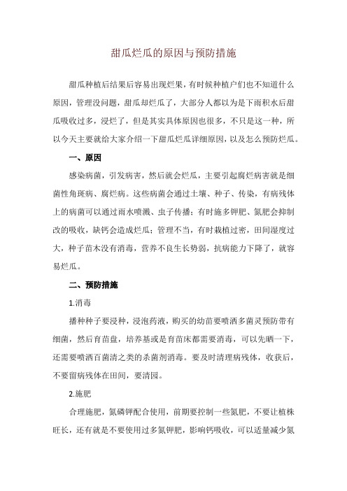 甜瓜烂瓜的原因与预防措施