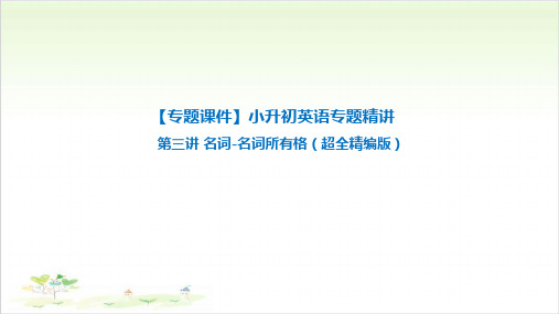 六年级下册英语-小升初英语专题精讲名词-名词所有格 全国通用PPT精美版