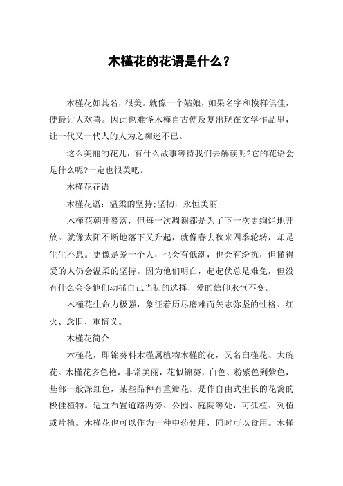 木槿花的花语是什么?