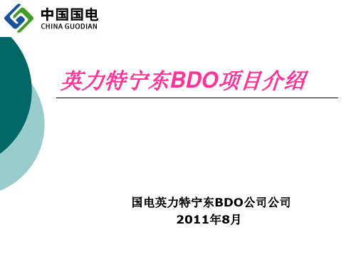 BDO项目介绍解析