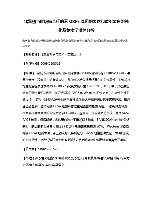 猪繁殖与呼吸综合征病毒ORF7基因的表达和重组蛋白的纯化及免疫学活性分析