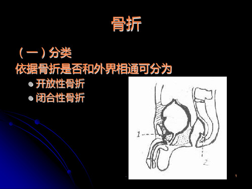 临床助理执业医师笔试辅导PPT课件