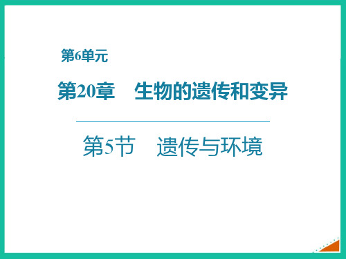 北师大版八年级生物上册 遗传与环境 课件