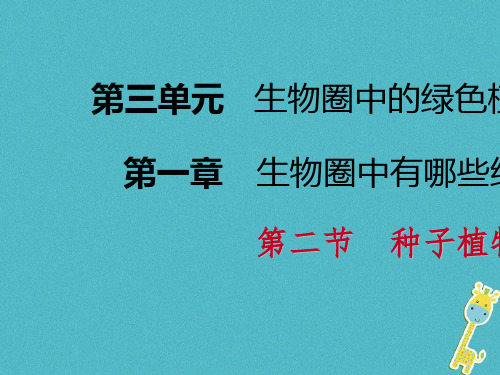 人教版(新课程标准)第1课时种子的结构PPT课件(共16张PPT)