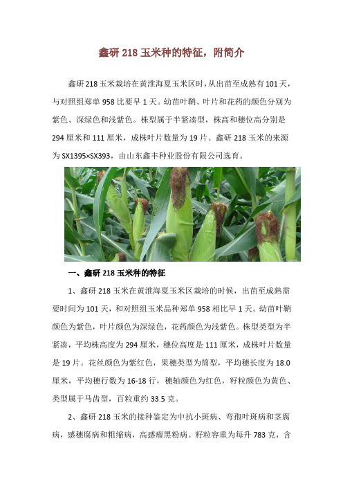 鑫研218玉米种的特征,附简介